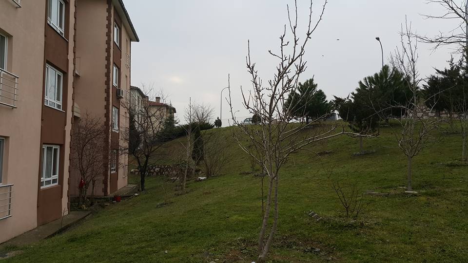 İzmit Gündoğdu Köyü Resimleri 10