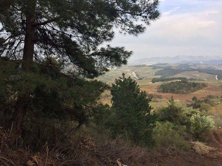 İzmit Gündoğdu Köyü Resimleri 14