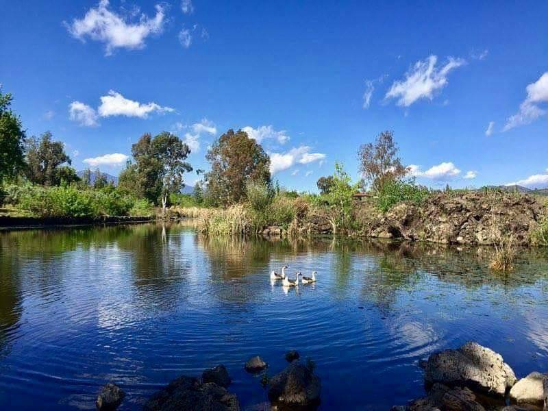 Hassa Aktepe Köyü Resimleri 6