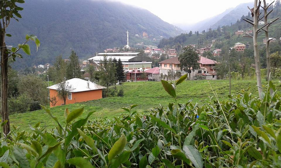 Güneysu Dumankaya Köyü Resimleri 10