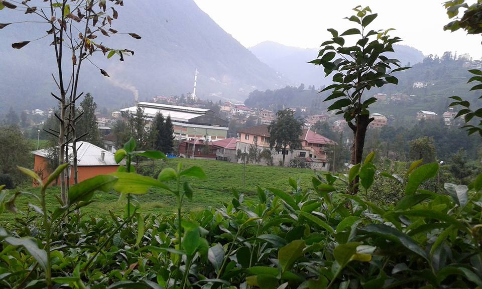 Güneysu Dumankaya Köyü Resimleri 11
