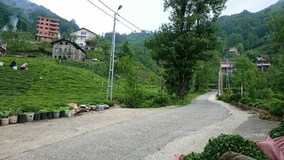 Güneysu Dumankaya Köyü Resimleri 30