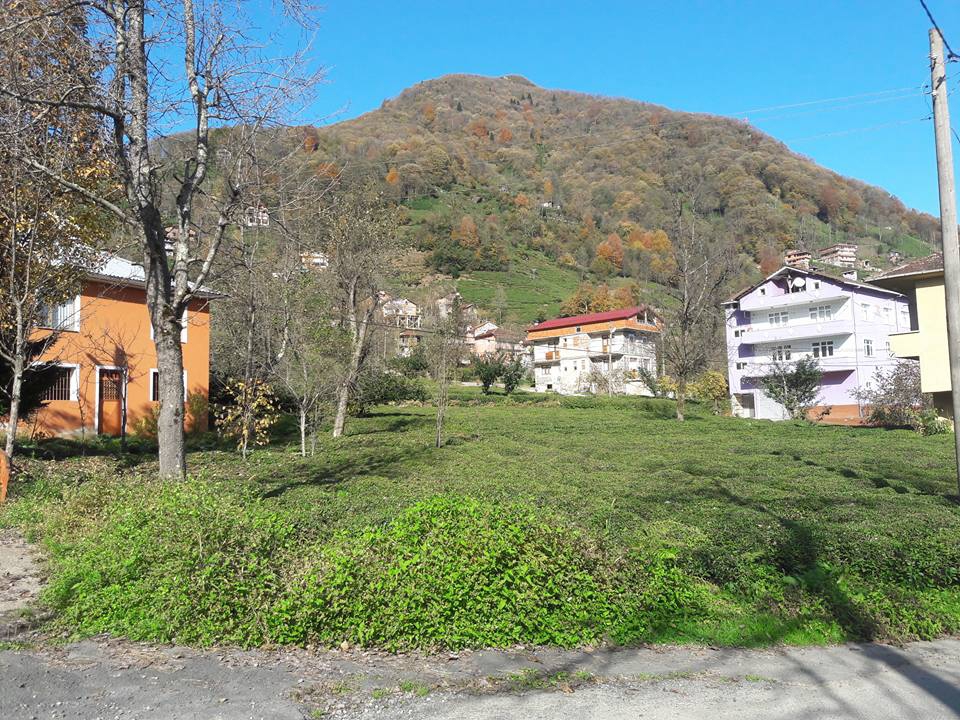 Güneysu Dumankaya Köyü Resimleri 33