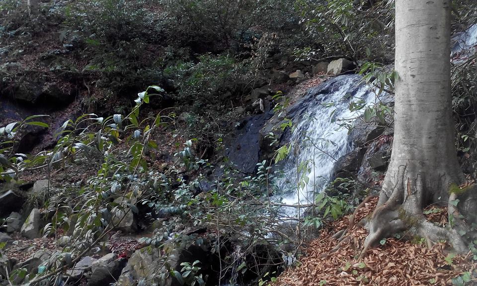 Güneysu Dumankaya Köyü Resimleri 34