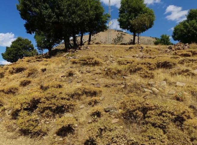 Nazımiye Ballıca Köyü Resimleri 11