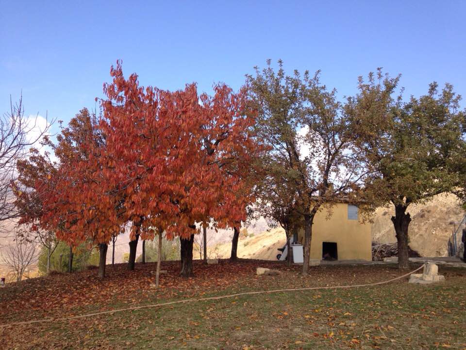 Nazımiye Ballıca Köyü Resimleri 8