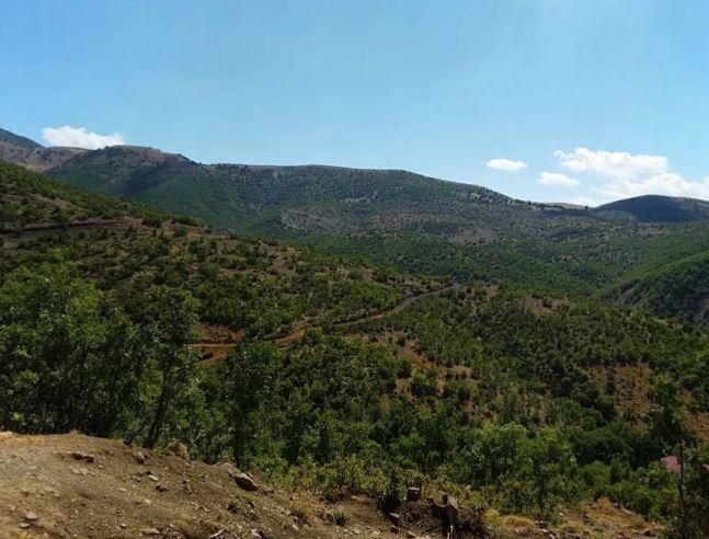 Nazımiye Ballıca Köyü Resimleri 9