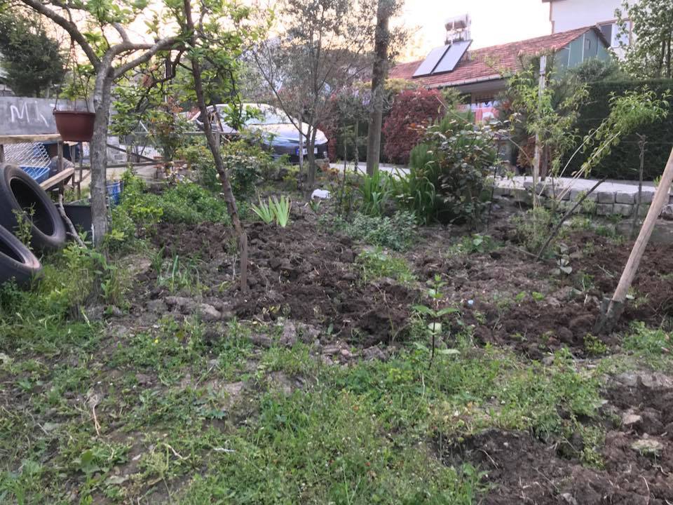 Yalova Elmalık Köyü Resimleri 10