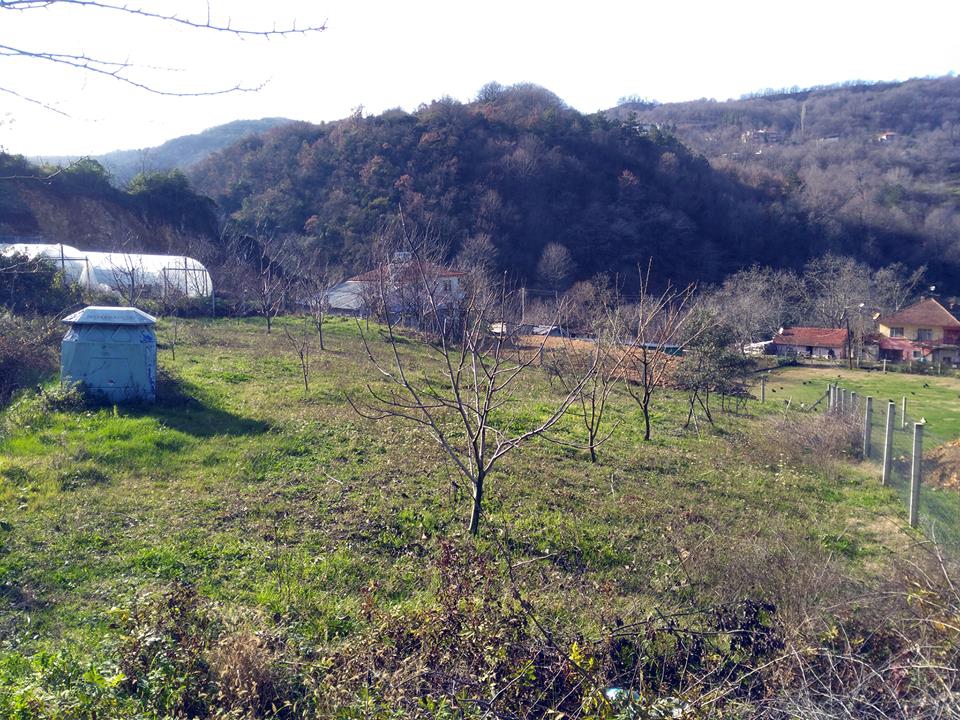 Yalova Elmalık Köyü Resimleri 11