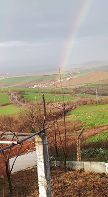 Yalova Elmalık Köyü Resimleri 2