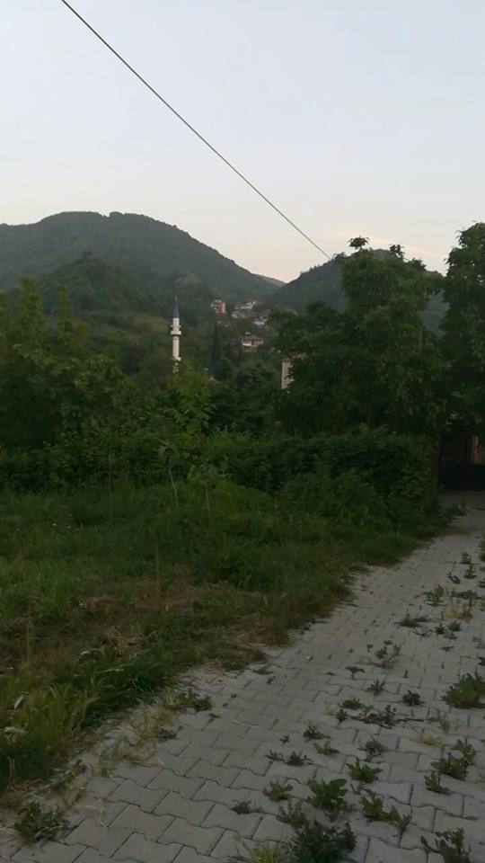 Yalova Elmalık Köyü Resimleri 3