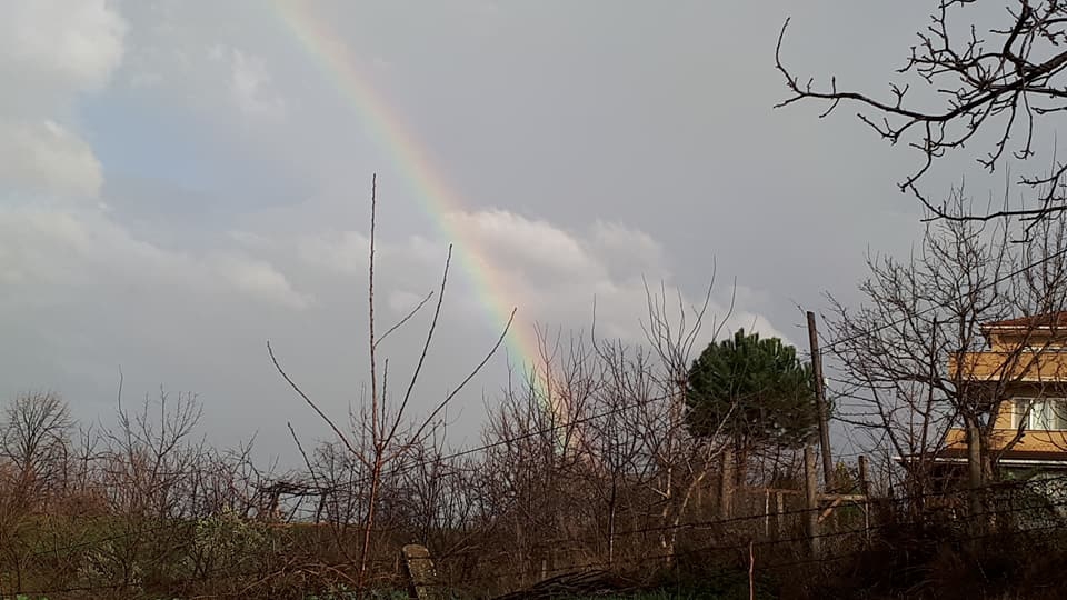 Yalova Elmalık Köyü Resimleri 7