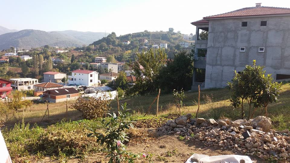 Yalova Elmalık Köyü Resimleri 8