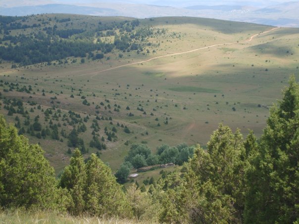 Gölova Akçataş Köyü Resimleri 21