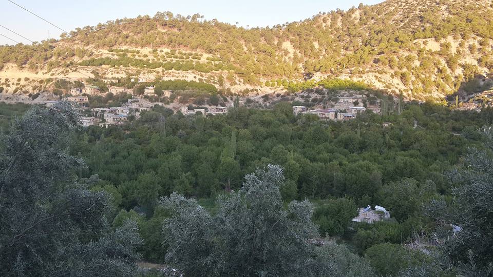 İskenderun Çınarlı Köyü Resimleri 1