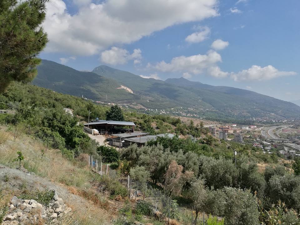 İskenderun Kavaklıoluk Köyü Resimleri 3