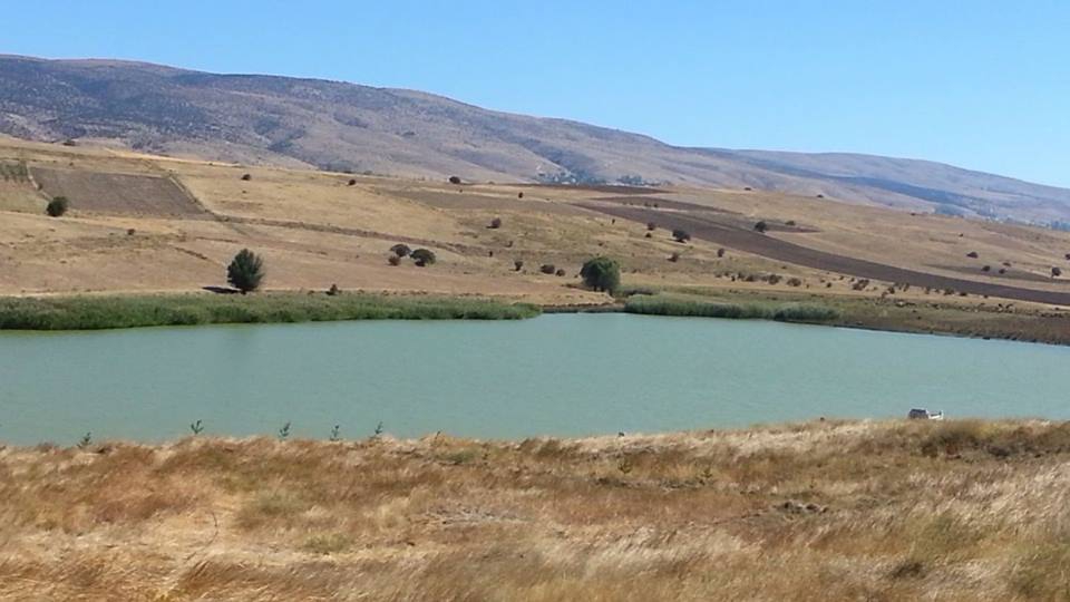 Gölova Aşağıtepecik Köyü Resimleri 3