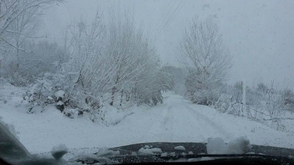 Bolu Ağaççılar Köyü Resimleri 4