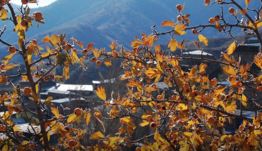 Kemah Gülbahçe Köyü Resimleri 14