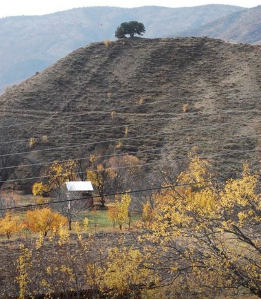 Kemah Gülbahçe Köyü Resimleri 16