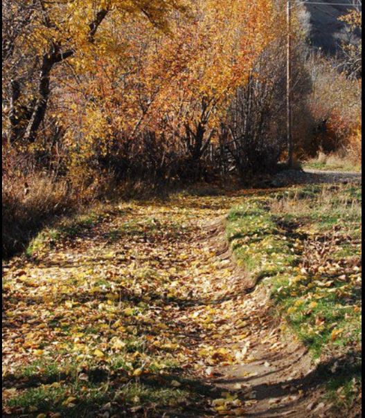 Kemah Gülbahçe Köyü Resimleri 20
