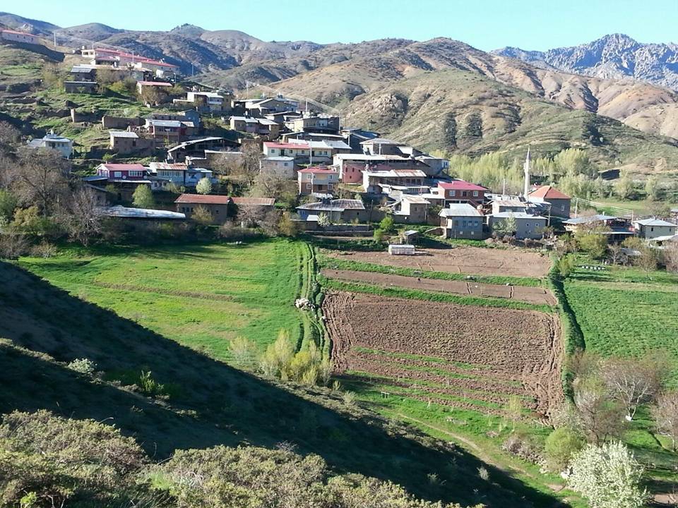 Kemah Gülbahçe Köyü Resimleri 6