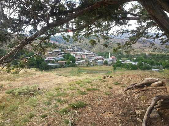 Kemah Gülbahçe Köyü Resimleri 9