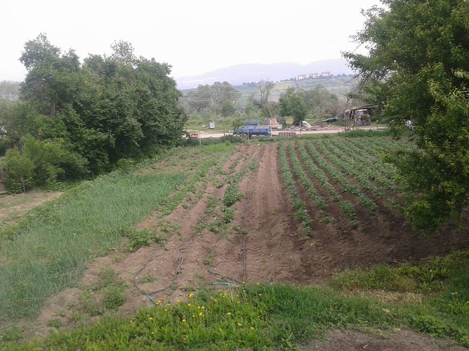 Bolu Ahmetler Köyü Resimleri 12