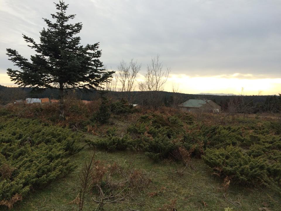 Bolu Ahmetler Köyü Resimleri 13