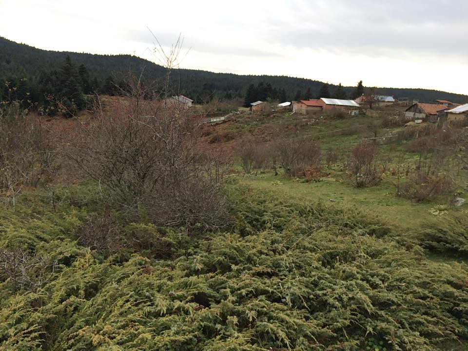 Bolu Ahmetler Köyü Resimleri 15