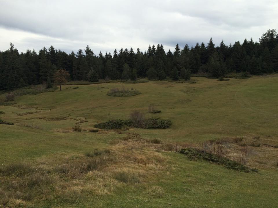 Bolu Ahmetler Köyü Resimleri 16