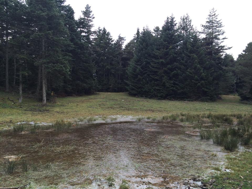 Bolu Ahmetler Köyü Resimleri 17