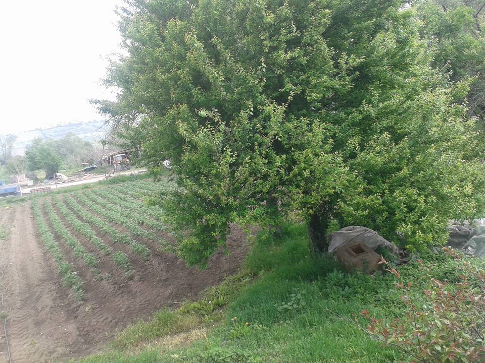 Bolu Ahmetler Köyü Resimleri 19