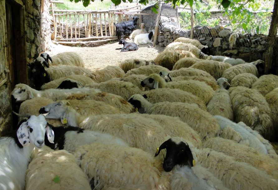 Kemah Kardere Köyü Resimleri 11