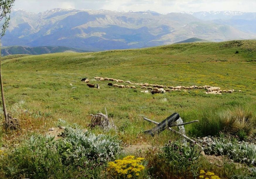 Kemah Kardere Köyü Resimleri 2