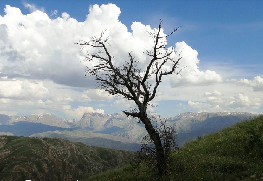Kemah Kardere Köyü Resimleri 7