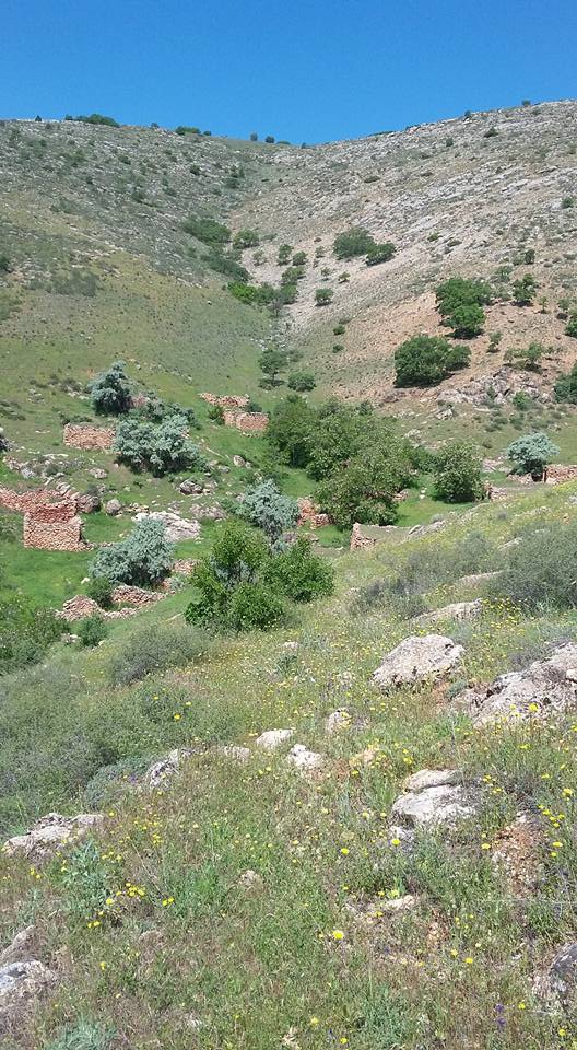 Kemah Kayabaşı Köyü Resimleri 1