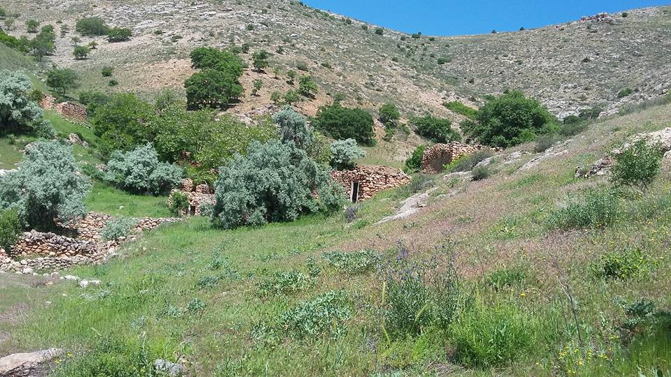 Kemah Kayabaşı Köyü Resimleri 2