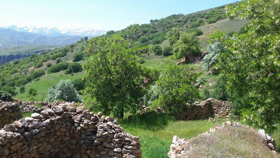 Kemah Kayabaşı Köyü Resimleri 3