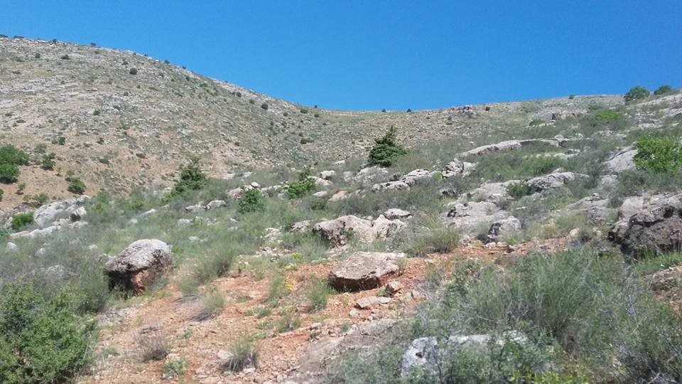 Kemah Kayabaşı Köyü Resimleri 4