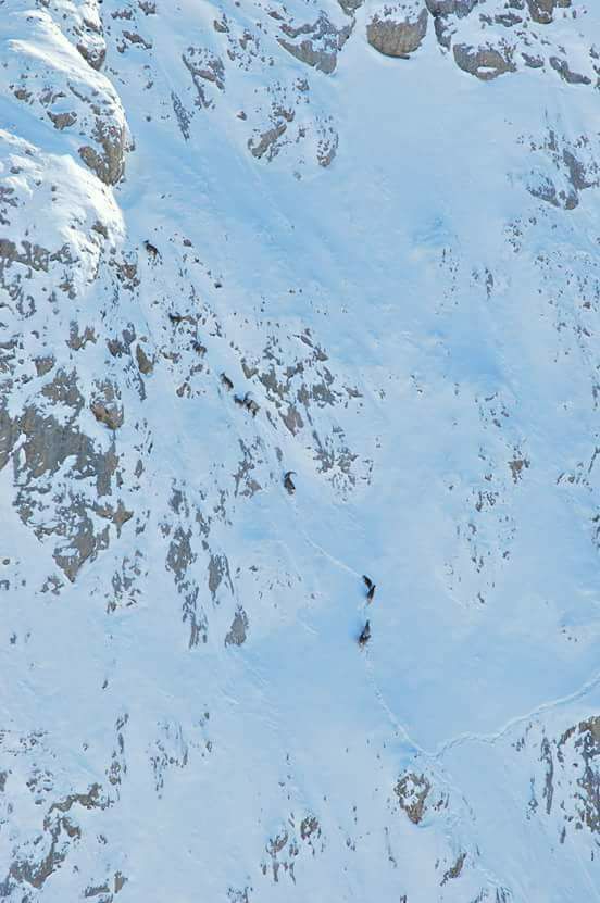 Kemah Kemeryaka Köyü Resimleri 3