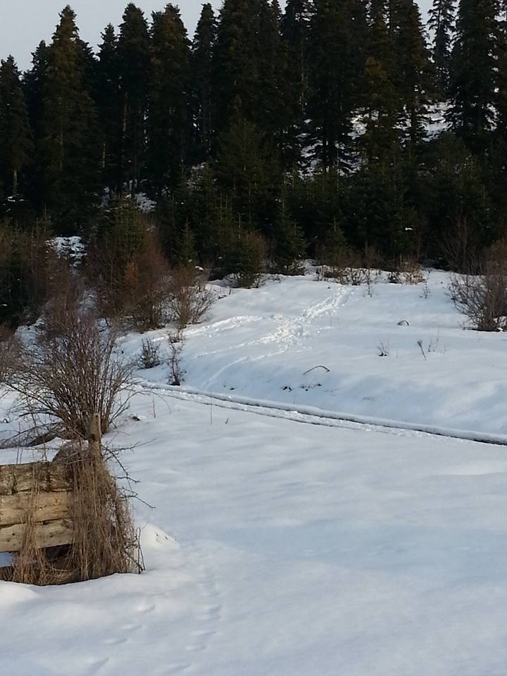 Gerede Ağızörengüney Köyü Resimleri 18