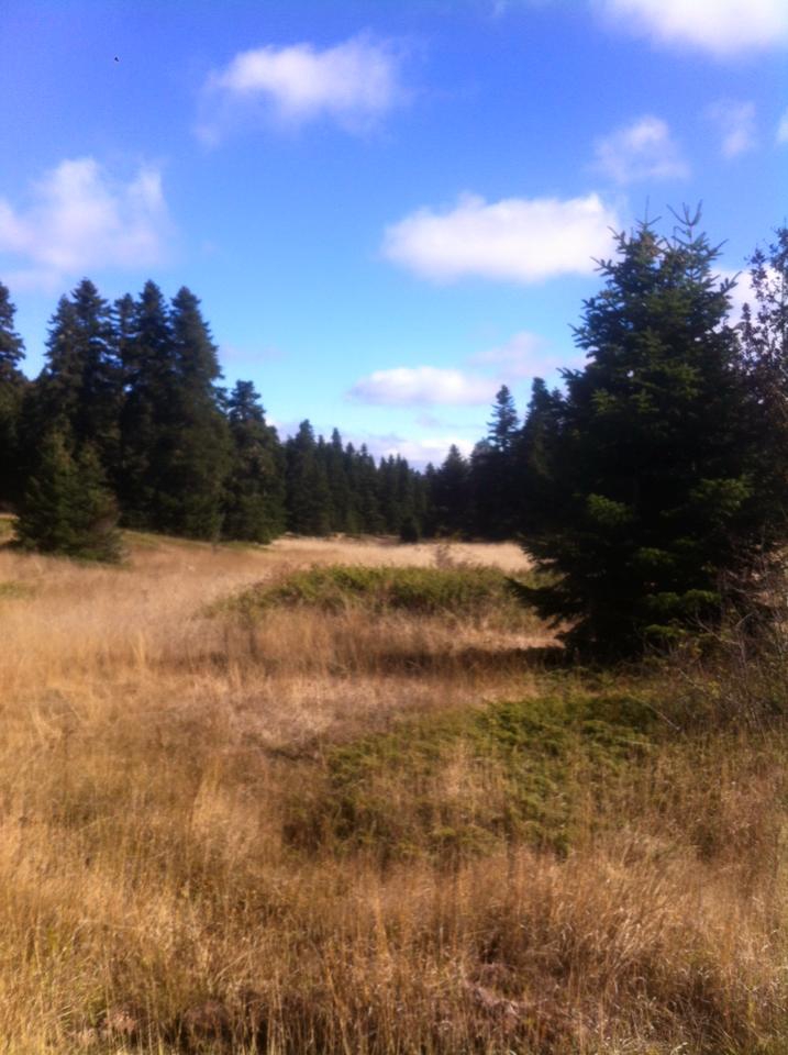 Gerede Ağızörengüney Köyü Resimleri 21