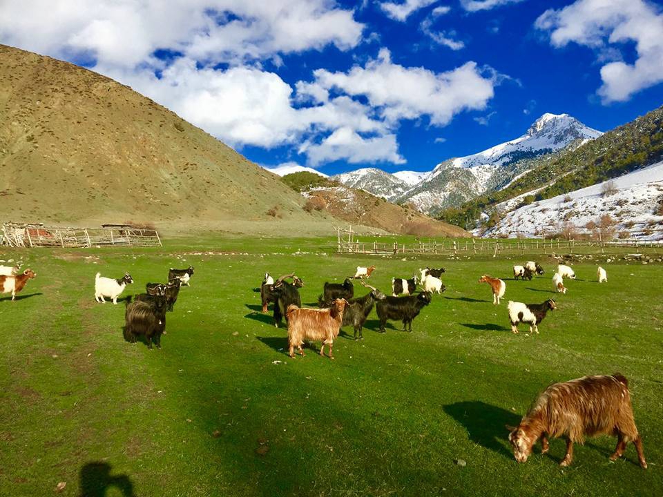 Kemah Kerer Köyü Resimleri 4