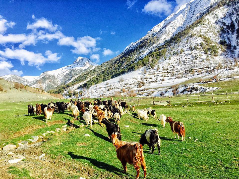 Kemah Kerer Köyü Resimleri 5