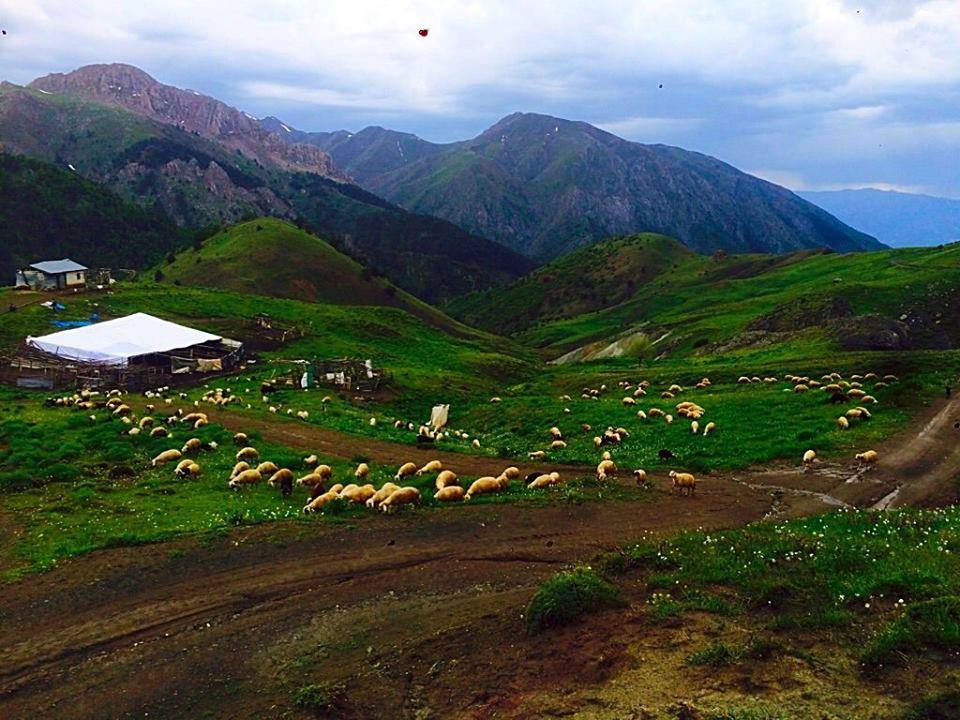 Kemah Kerer Köyü Resimleri 7