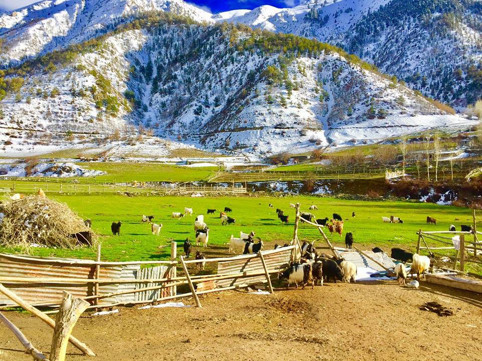 Kemah Kerer Köyü Resimleri 8