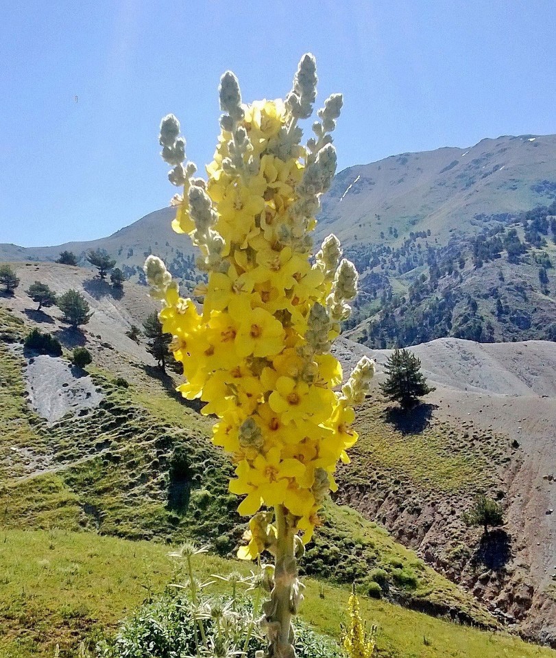 Kemah Kerer Köyü Resimleri 9