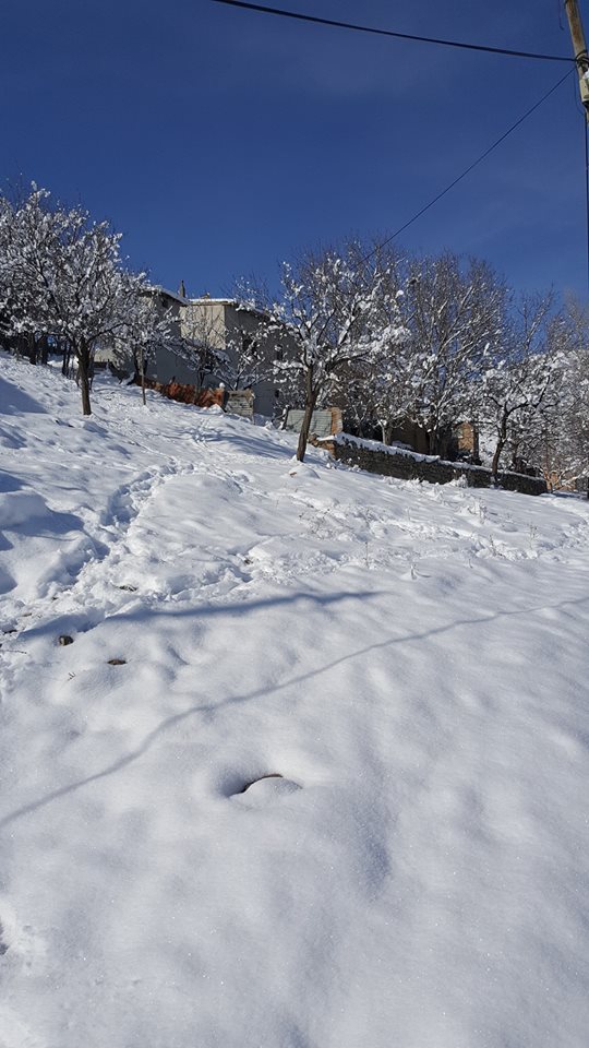 Kemah Koruyolu Köyü Resimleri 10