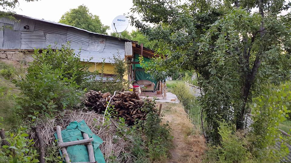 Kemah Koruyolu Köyü Resimleri 11